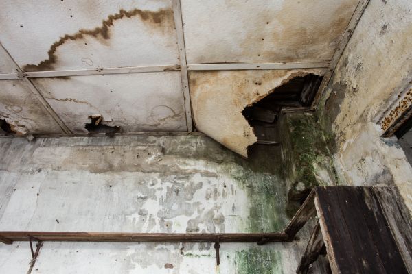 Cost of Water Damage Service in Mequon