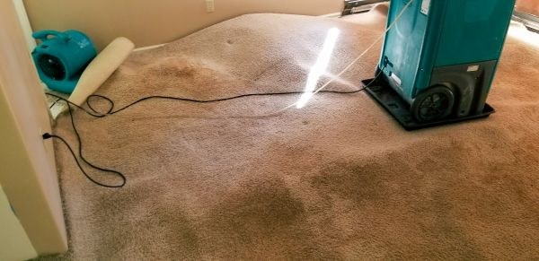 Cost of Flood Damage Cleanup in Mequon