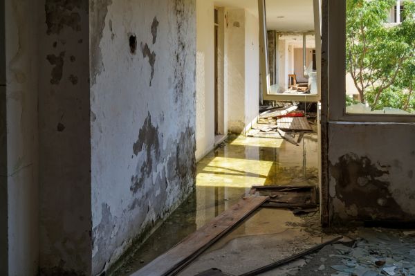 Cost of Water Removal Service in Mequon