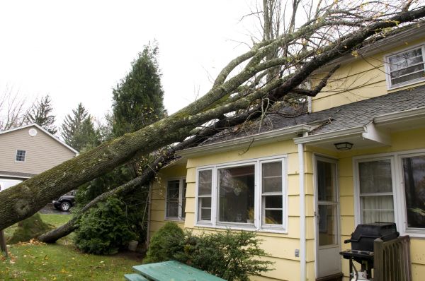 Cost of Hurricane Damage Repair in Mequon